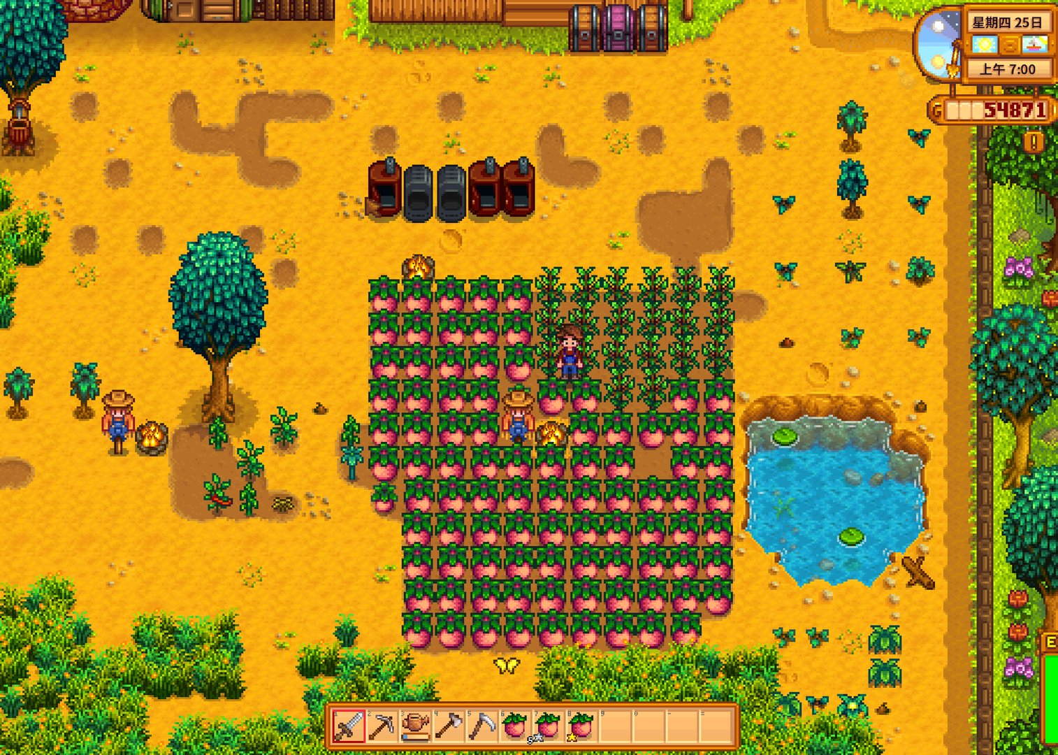 塞尔达传说：旷野之息 终极版 截图11