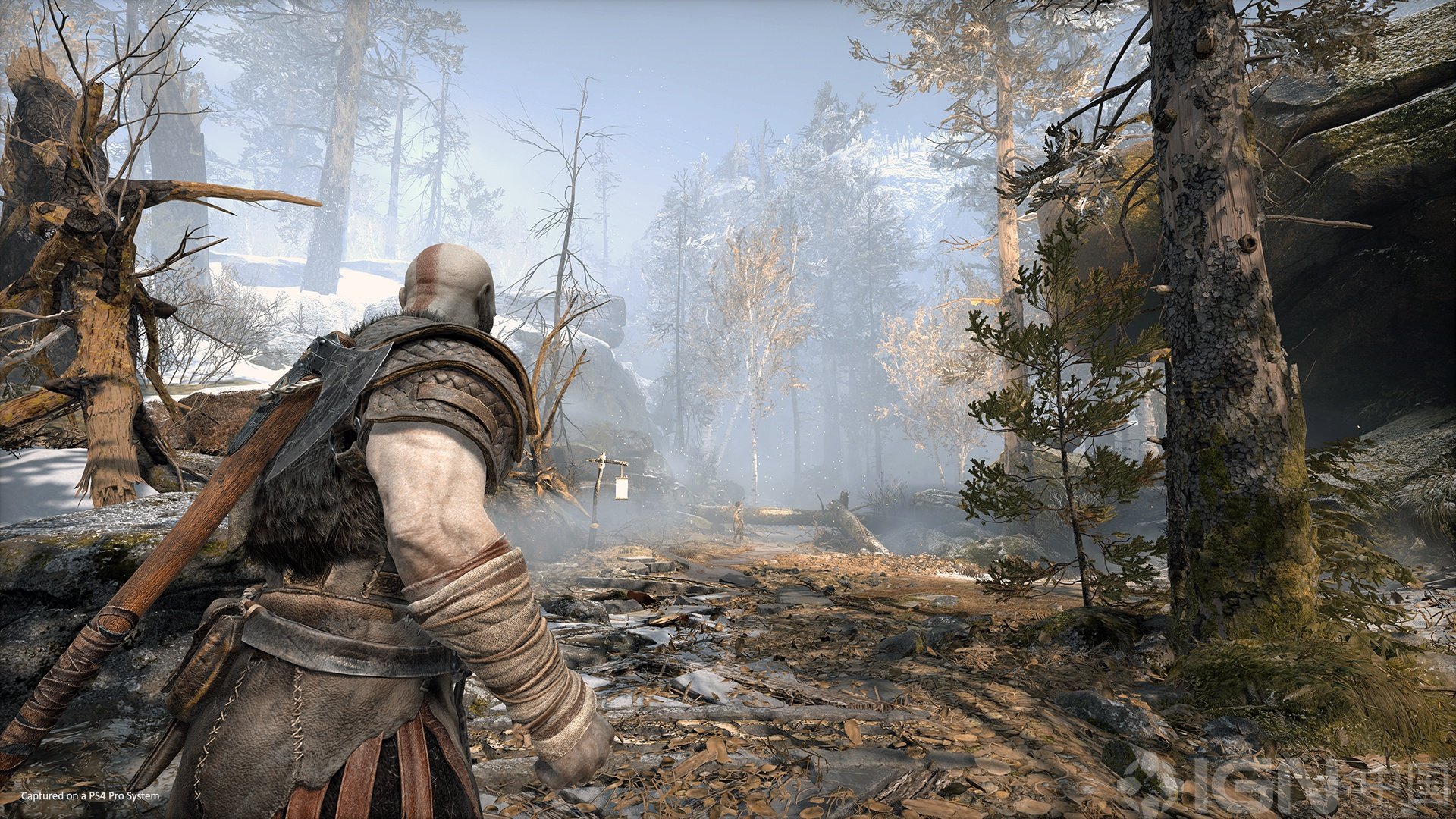 巫师3：狂猎 终极版 截图7