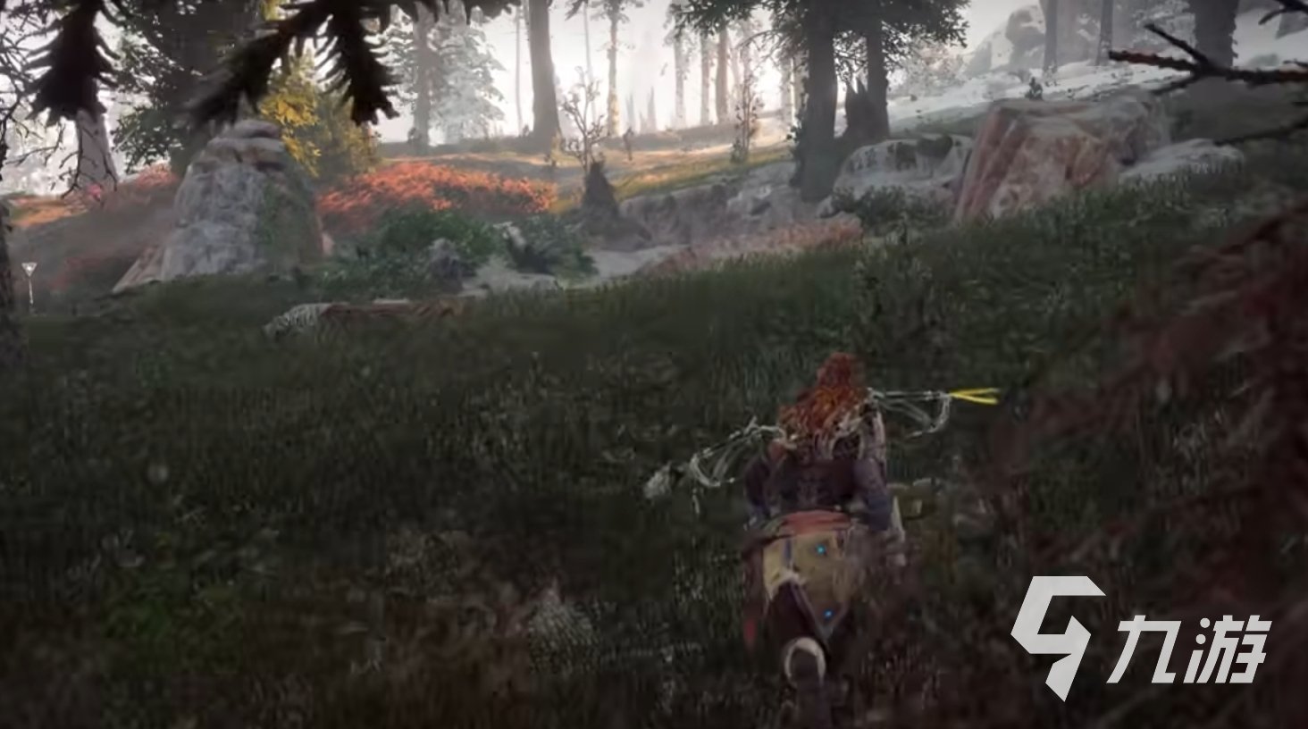 塞尔达传说：旷野之息 终极版 截图13